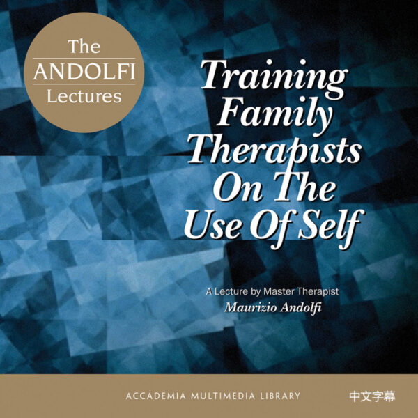 Training Family Therapists on the Use of Self - chinese subtitles